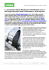 Lo pneumatico Nokian Weatherproof All