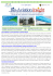 Bio-Aviation Insight - IndustriaEnergia.it