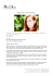 michela lombardi - BlueArt Management