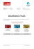 boarding pass - Business International
