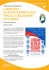 informacaritas_numero4_1marzo2016_Layout 1
