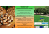 Invito all`incontro del 15.07.2016