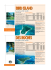 birdisland desroches birdisland desroches
