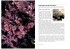 Other types of bioconcretions
