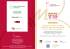 Donne al Top Vicenza