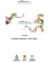 Comunicato stampa Emergence 2014
