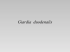 5 Giardia duodenalis