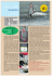 scarica il test in formato pdf