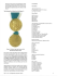 The Messina Merit Medal in Gold (Figure 3) The obverse of the