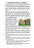 neomedievalismi: gothic revival e neo romanico