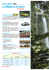 il messico in auto - www.viaggisintesi.com.