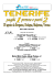 Hotel Sol Tenerife 4   Hotel Bahia Princess 4