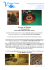 clicca qui - Verbano Events