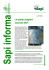 Sapi_informa 2.08