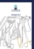 catalogo ferri