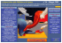 La NewsLetter della Biblioteca di Limena n° 44 – Maggio 2009