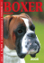 No. 2005 www .boxergenealogia.com cena 5
