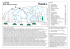 Scarica il file PDF