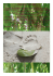 Le seychelles