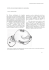 Leggi l`articolo completo
