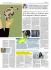 Il corriere della sera