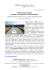Mirafiori Motor Village sostiene la 18a edizione di CinemAmbiente