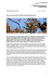 Nuovo documentario «Flight of the Butterflies 3D»