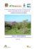 studio generale - Provincia di Viterbo