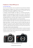 Finalmente: la Nikon D300 in prova!