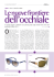 Fashiondistrict_Le nuove frontiere dell`occhiale_POmarzo2010