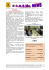 In Breve - L`Associazione "Il COS Mo