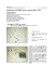Installazione di ATOMIC interno, versione IRIS e TRAX