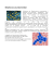 Streptococcus pneumoniae