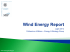 Wind Energy Report.