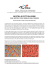 CS Mostra Ebru in Sicilia - aprile 2015