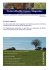 Natura Mediterraneo, Magazine n° 10 Articolo e foto sulla