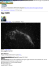 Ngc 6995