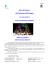 Flints Programma A4 per sito