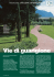 Vie di guarigione - Il Verde Editoriale