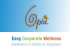 6più - Easy Corporate Wellness