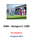 WBA-Bologna - WordPress.com