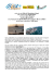 whale shark expedition_01