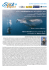 Crociera CENDERAWASIH Whale Shark