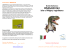 Guida italiana a DINOSAUR ISLE Isle of Wight, Inghilterra