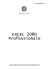 EXCEL 2000 Professionale