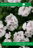 solo piante e fiori di qualita` catalogo piante e fiori 2016