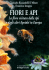 FIORI E API