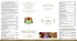 Listino Prezzi - L`Antico Uliveto