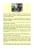 Anne Givaudan - blog: spirituale