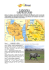 tanzania - Aleramo Viaggi